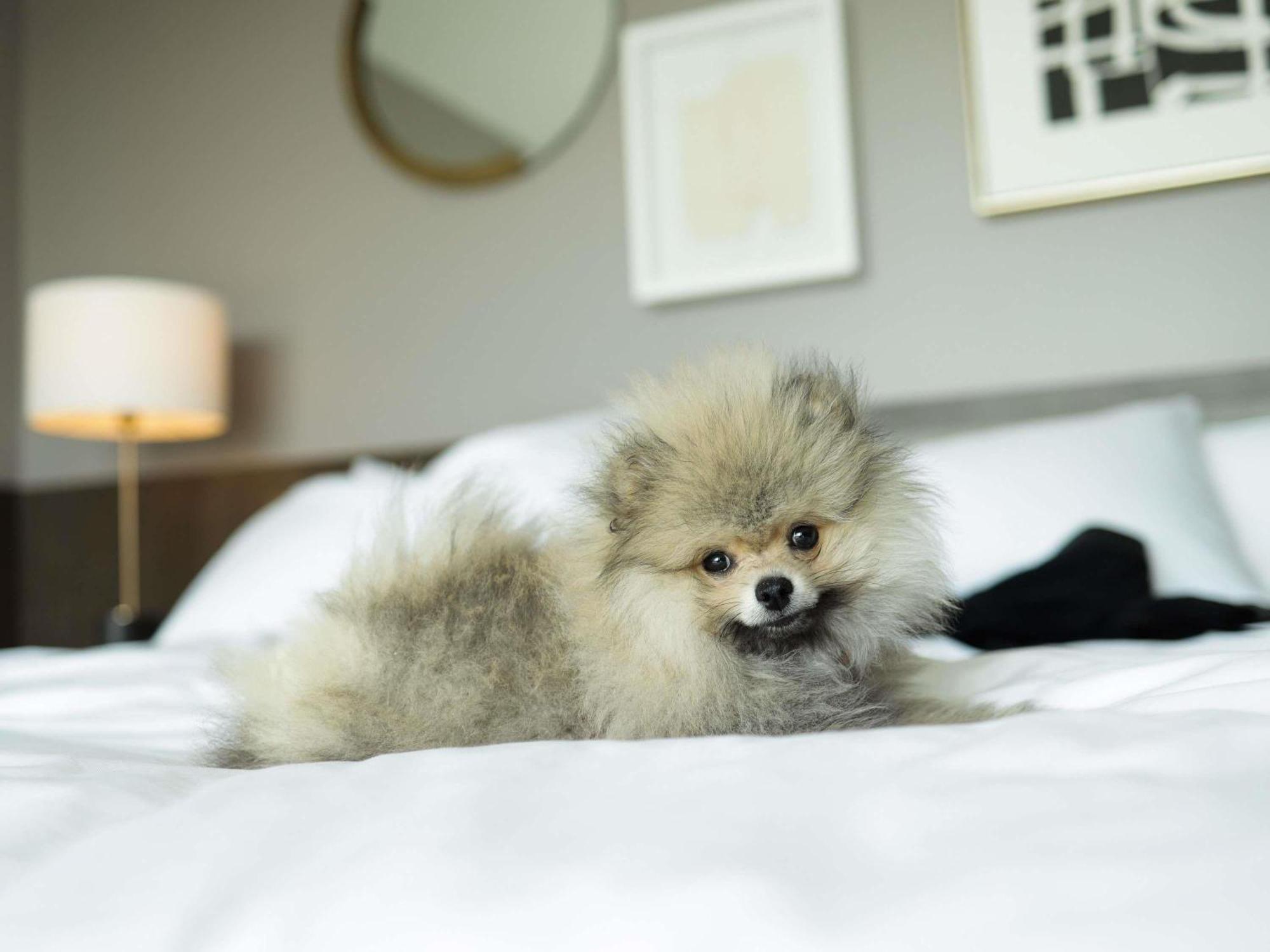 Fairmont Century Plaza Los Angeles Ngoại thất bức ảnh
